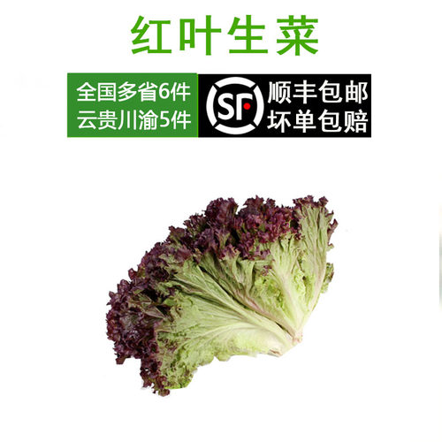 新鲜蔬菜罗莎红沙拉食材顺丰速运
