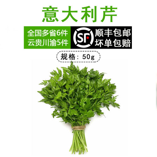 意大利芹香料新鲜蔬菜