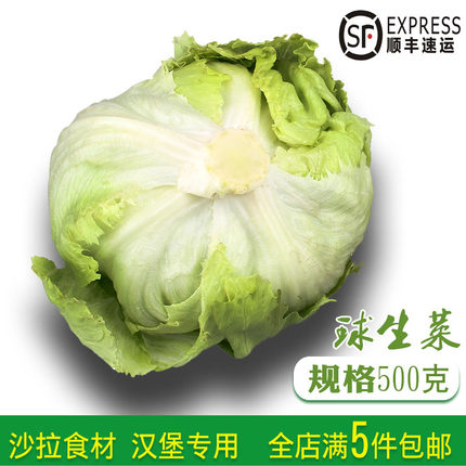 汉堡用球生菜500g西餐新鲜蔬菜沙拉食材凉扮食用5件顺丰包邮