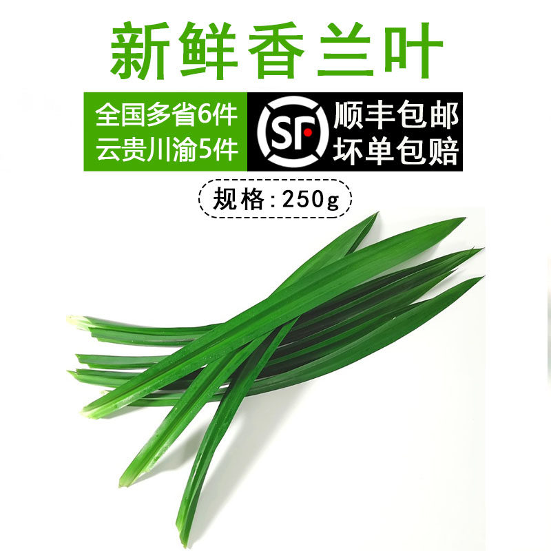 香兰叶斑斓叶斑兰叶七叶兰香草泰国兰250克新鲜香料烘焙餐饮调料