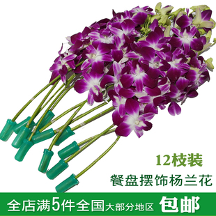 新鲜洋兰花 杨兰花 马兰花 香料 250克 饭店菜品装饰 西餐点缀