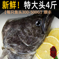 鸦片鱼头新鲜冷冻半成品批发商用碟鱼头特大雅片鱼深海鲽鱼