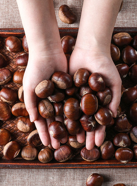 河北新鲜迁西带壳板栗净重2斤2.8斤4斤4.8斤大果单斤75-80粒