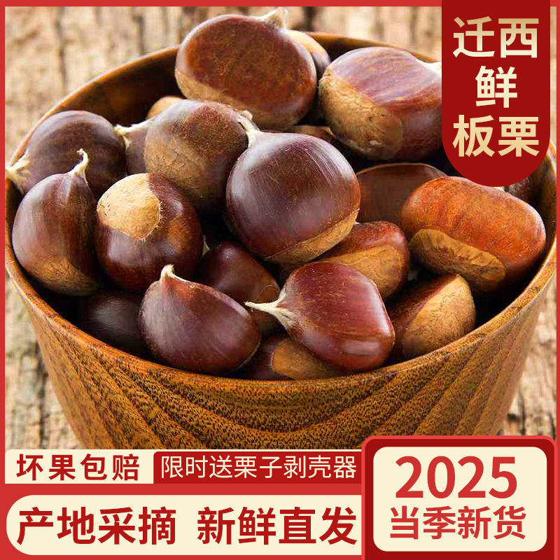 2025迁西鲜板栗生板栗