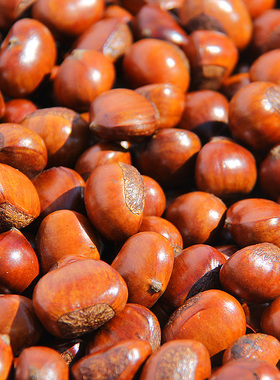 迁西糖炒板栗子正宗糖炒栗子 熟 炒熟板栗散装1斤小粒 熟栗子河北