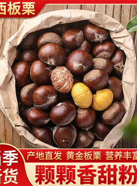 2025迁西生板栗生新鲜燕山油栗野生毛栗子大中小粒粟5斤产地直发