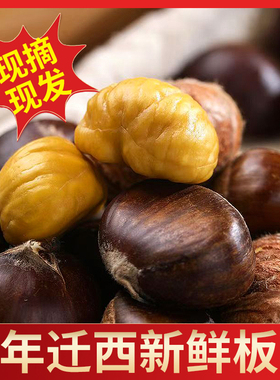 2025迁西生板栗生新鲜燕山油栗野生毛栗子大中小粒粟5斤产地直发