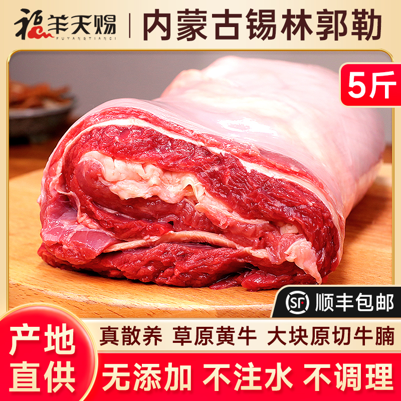 内蒙古牛腩肉新鲜生牛肉新鲜生鲜商用纯牛腩冷冻牛肉粒真牛肉整块