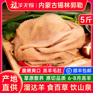 福羊天赐 羔羊肚5斤内蒙古羊肉新鲜羊肚子羊杂汤杂碎生羊肚丝羊肚