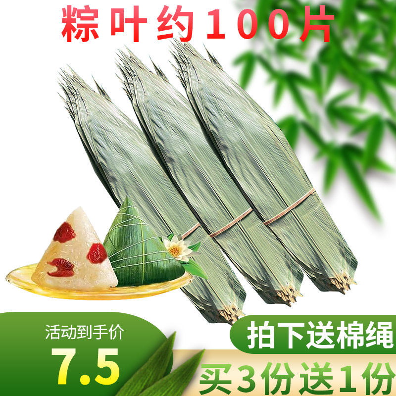 包粽子的叶子 棕叶大粽子叶 农家种叶新鲜大片大号中号竹叶送棕线