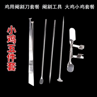 夹子小鸡使用畜牧器械兽用手术工具全套快速阉割刀阉鸡工具阉鸡线