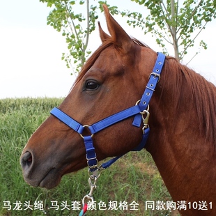 嘴套马笼头马龙头套绳项圈牵马龙头套全套遛马马骡驴马笼头绳子