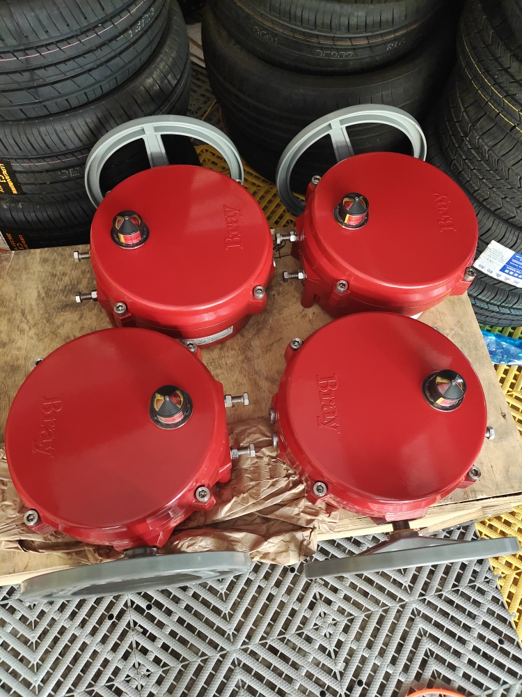 S70-501博雷执行器BRAy执行器