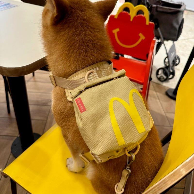 薯条背包狗狗牵引绳背心式自背包猫猫小型幼犬博美胸背带遛狗绳