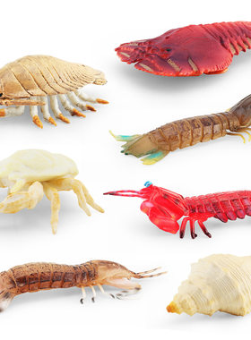 直销仿真海洋生物模型皮皮虾螃蟹大王具足虫海底动物静态摆件