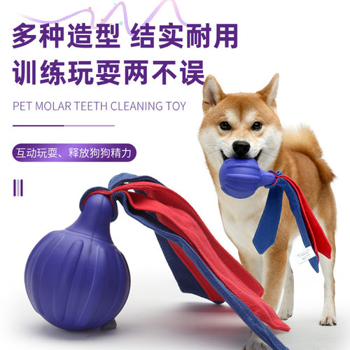 宠物玩具 发泡训练球耐咬磨牙发声响纸户外投掷寻回训练狗玩具