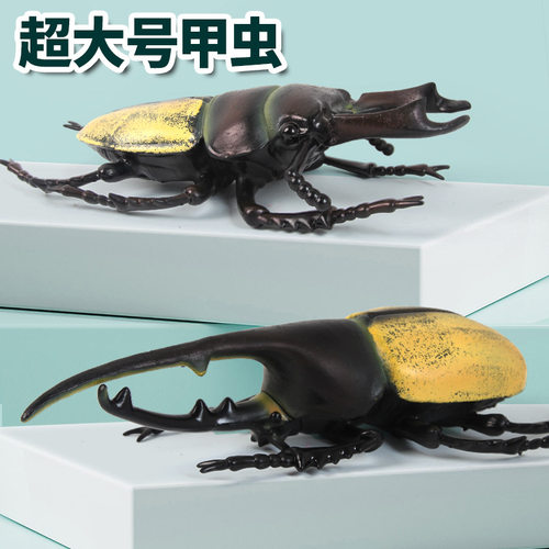 .仿真动物模型玩具软胶甲壳虫大甲虫仿真模型益智锻炼四肢开发大