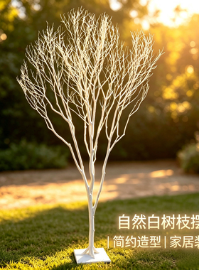 白树枝自然干树枝装饰树摆件