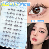 女团睫简直美到没边 9mm短款 ACE女团免胶假睫毛自然温柔上镜2026