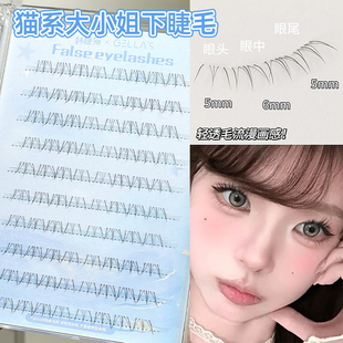 生人面前小猫咪！猫系大小姐下睫毛3+1假睫毛女自然女团仿真上镜