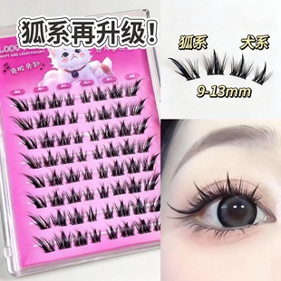 狐系+犬系也结合了！狐朋狗友圆眼斜飞款假睫毛自然仿真超软犬系