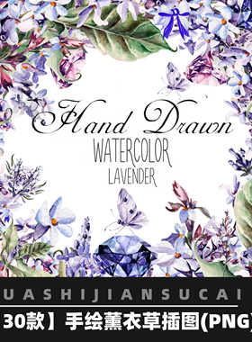 F185手绘蓝色薰衣草花朵花卉元素集免抠图请柬插图设计png素材