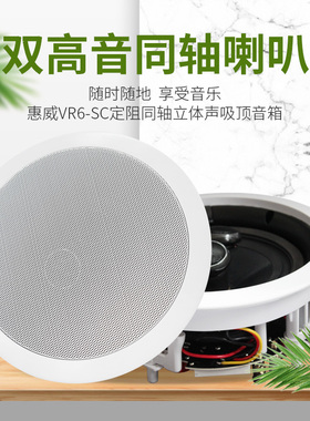 惠威VR6-SC嵌入式吸顶喇叭音箱背景音乐卓越立体声音质吊顶音箱