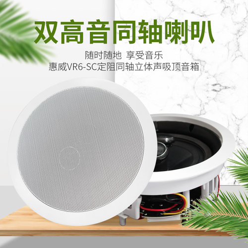 惠威VR6-SC嵌入式吸顶喇叭音箱