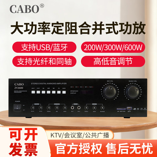 卡拉ok家用会议室定阻合并功放