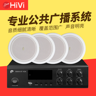 惠威TD201定压吸顶喇叭天花音响吸顶音背景音乐音箱 吊顶喇叭音箱