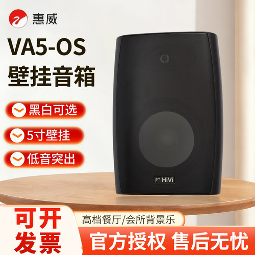 惠威VA5-OS环绕立体声壁挂音箱