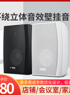 Hivi/惠威 VA5-OS定阻环绕立体声壁挂音箱5寸会议音响店铺喇叭