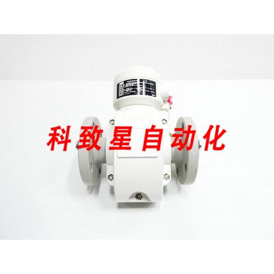 工业配件FEP325040A1D4A1B1A1A0P1B0Y1AYJ PROCESMASTER 流量计 1
