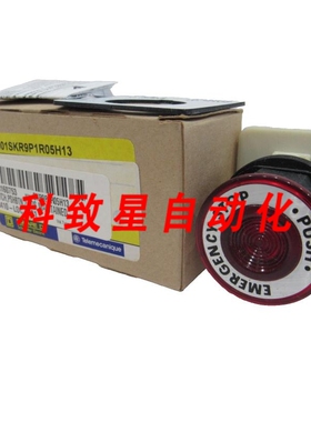 工业配件9001SKR9P1R05H13按钮开关 110-120V 9001KM1