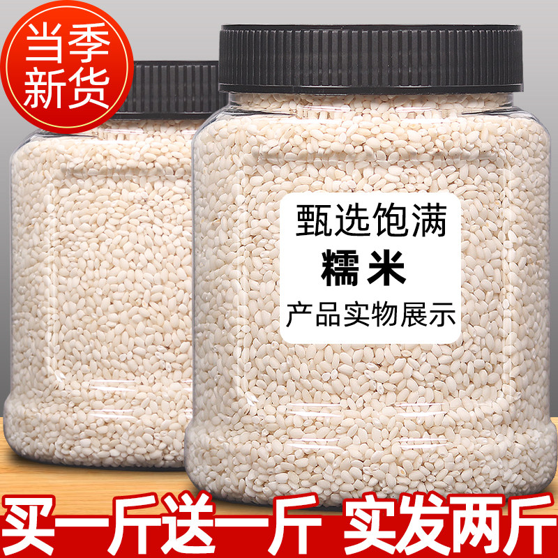 东北特产优质圆糯米1000g大罐装新米江米包粽子专用糯米五谷杂粮