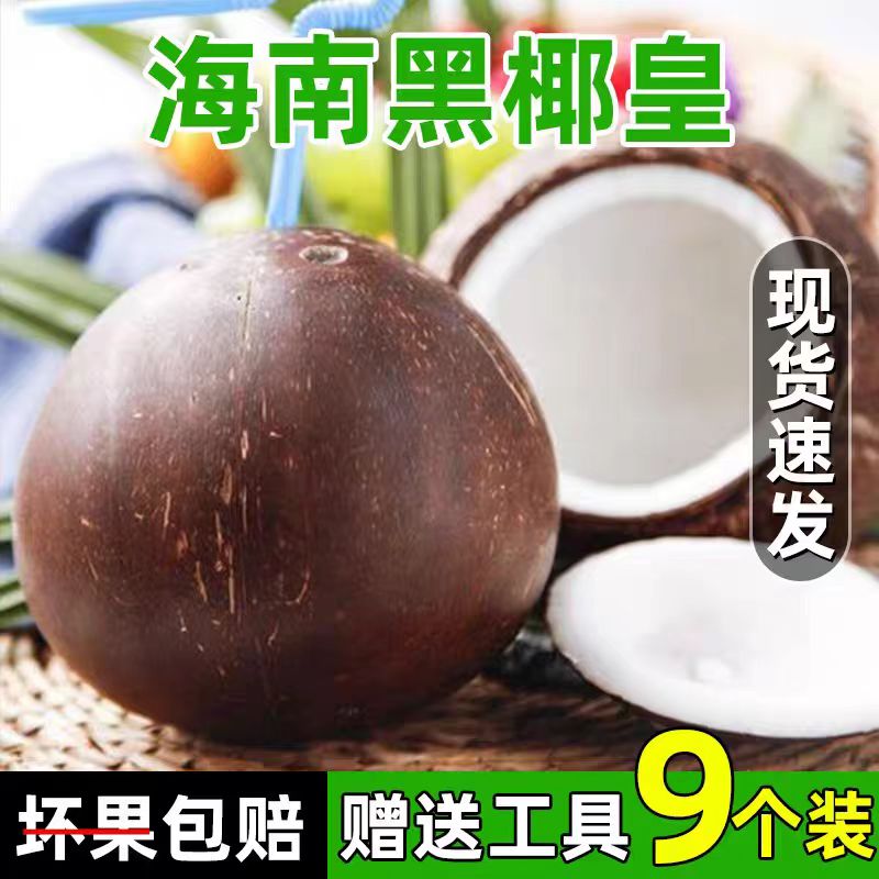 海南特级黑壳牛奶椰皇小奶椰去皮香椰孕妇水果9个装老椰子取椰肉