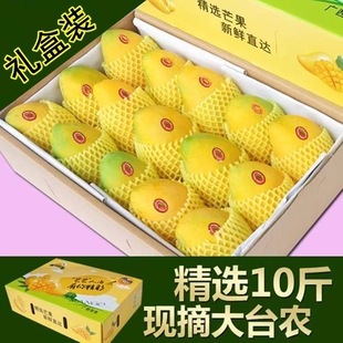 助农广西百色田东大台农大台芒新鲜水果当季整箱现摘包邮礼盒10斤