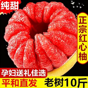 管溪新鲜纯甜三红蜜柚老树果10斤