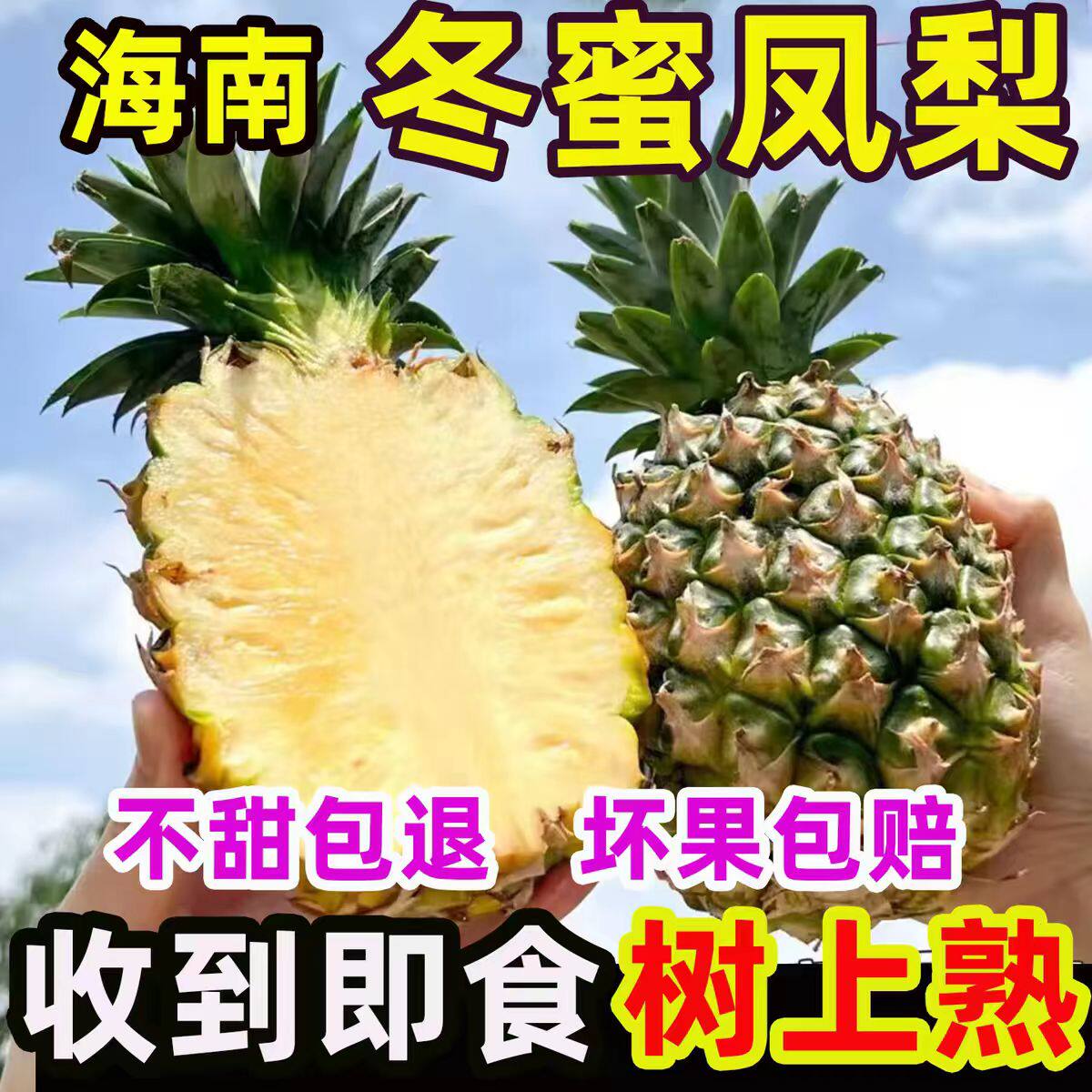 海南冬蜜凤梨台农13号大果包邮