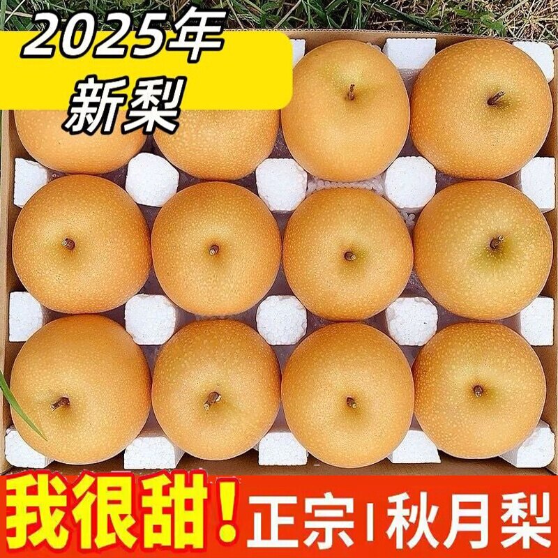 山东莱阳秋月梨脆甜多汁新鲜包邮