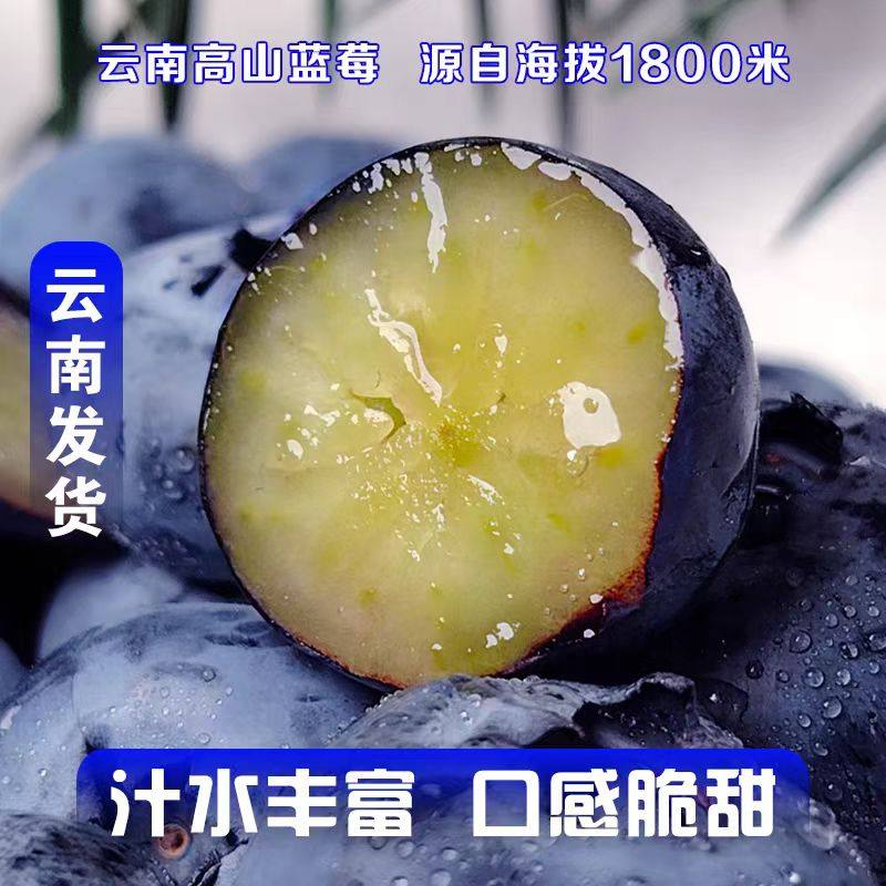 云南高山L25花香蓝莓水果脆甜大