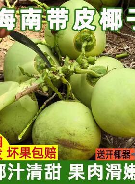 海南文昌热带带皮椰子绿皮椰青甜