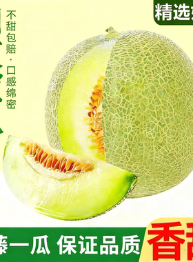 海南玫珑网纹瓜冰淇淋新鲜软糯大