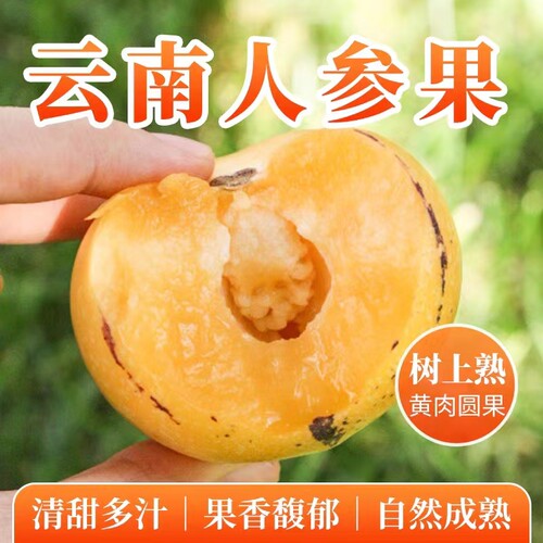 石林特级人参果树上熟圆果黄肉云南特产当季新鲜孕妇水果整箱5斤3