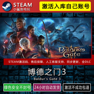 博德之门3 STEAM在线游戏激活码CDK入库正版全DLC包更新不限区PC