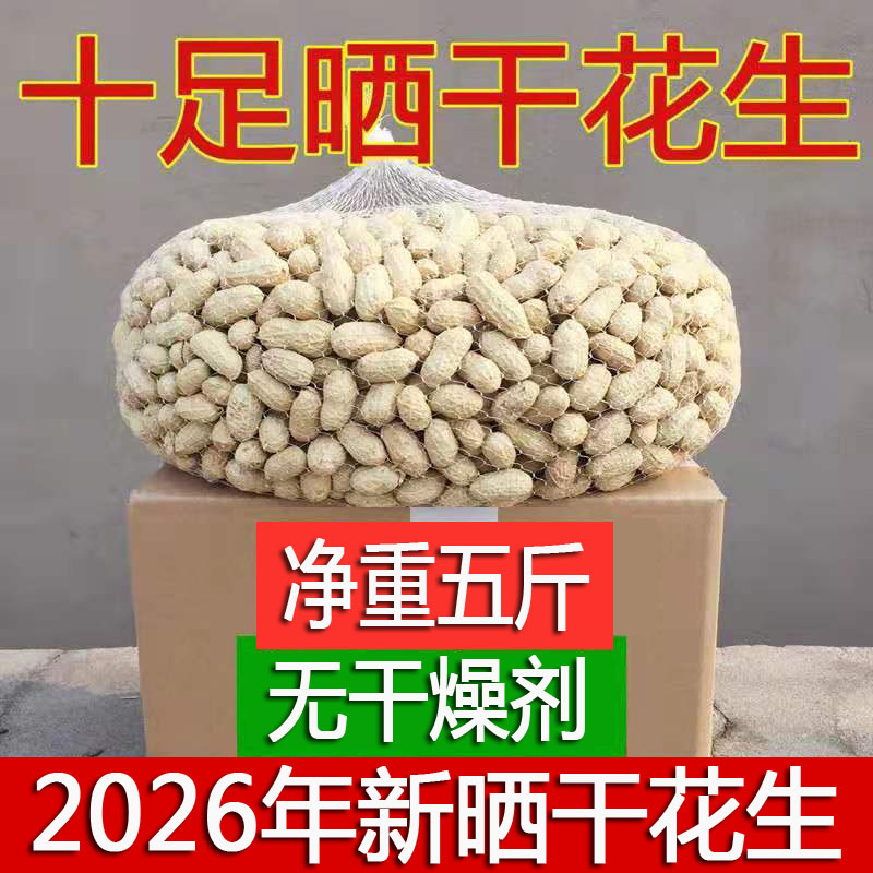 带壳花生河南花育十六饱满大颗粒图片