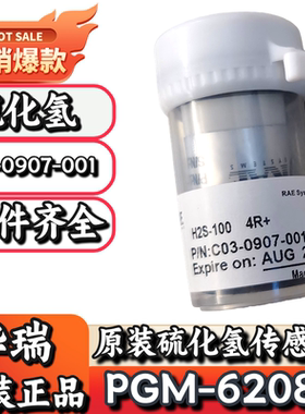 华瑞PGM-6208便携式气体检测仪C03-0907-001硫化氢传感器