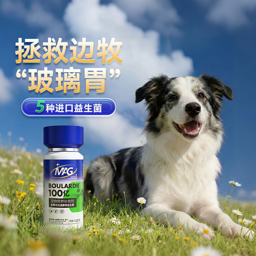 【警犬基地认证】狗狗专用益生菌