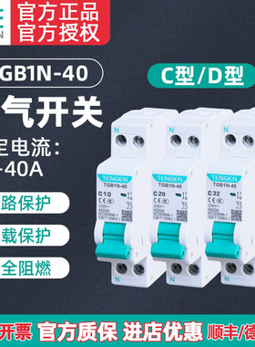 TENGEN天正TGB1N-40双进双出空气开关DPN双线断路器DZ267家用1P+N