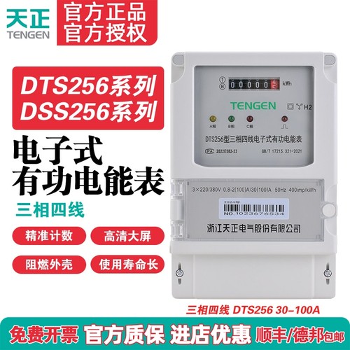 TENGEN天正电气DTS2566电能表